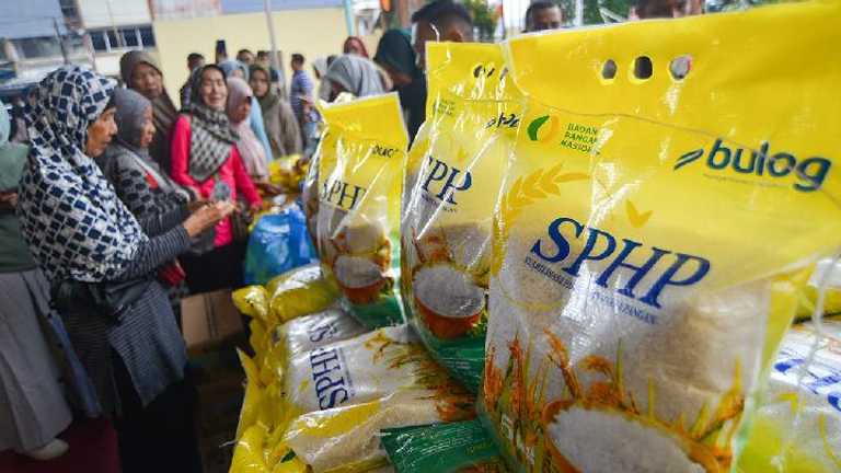 Search image article