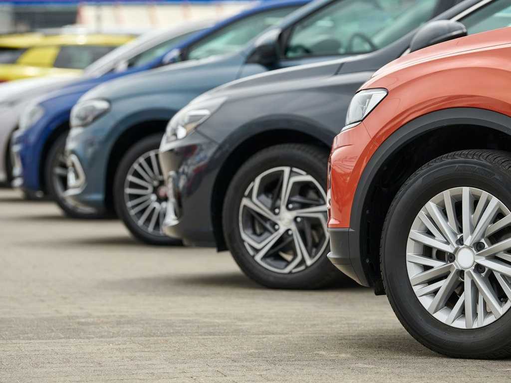 Search image article