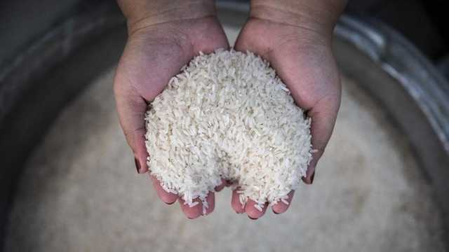 Bapanas Turun Tangan Atasi Krisis Beras: Harga Mahal, Ritel Kosong Padahal Stok Melimpah
