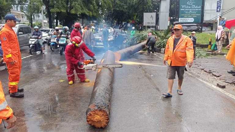 Search image article