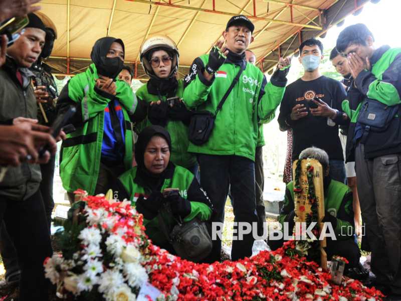 Search image article