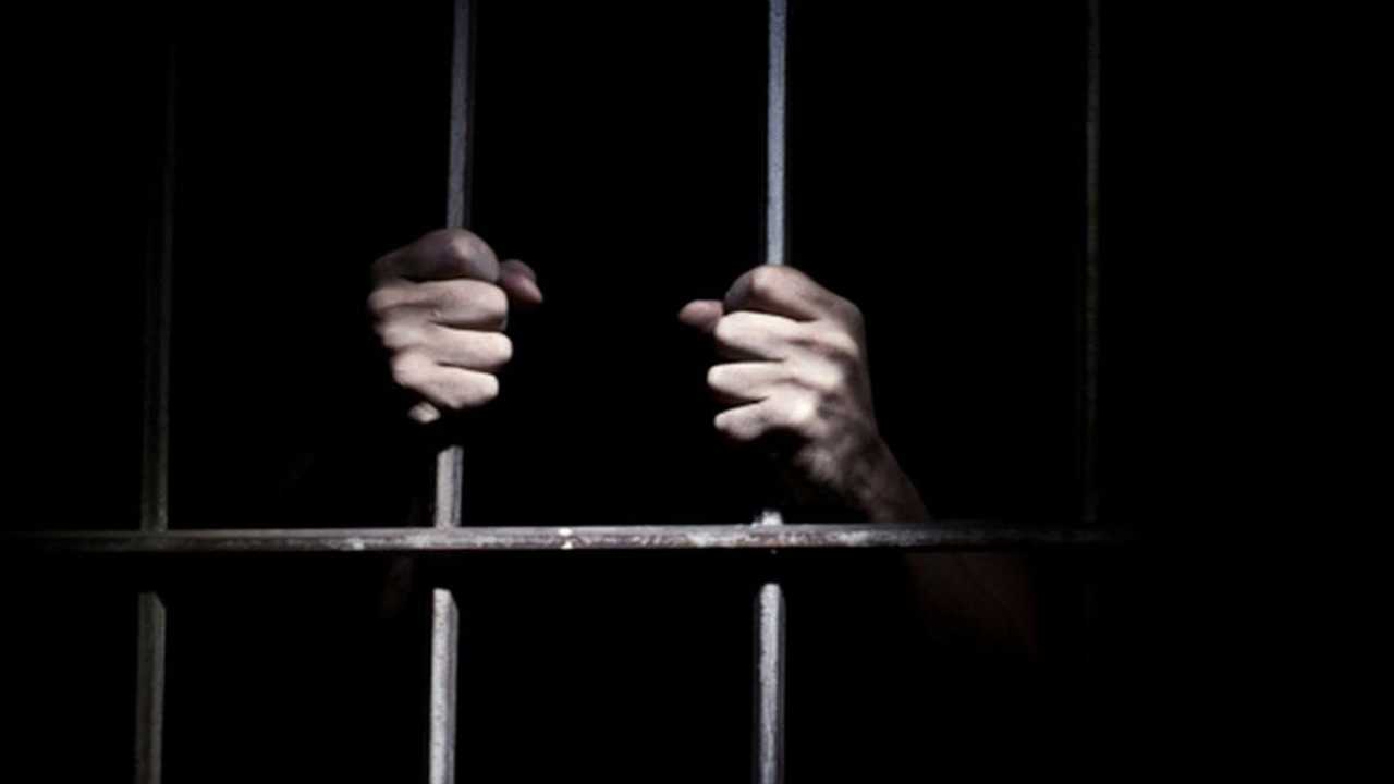 Search image article