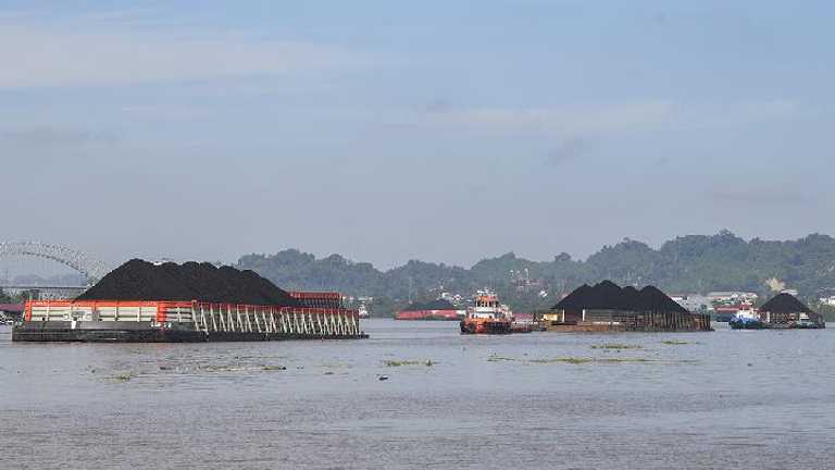 Search image article