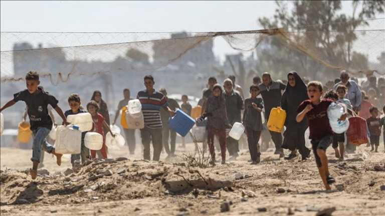 Search image article