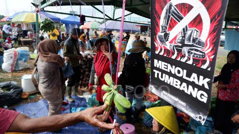 Search image article