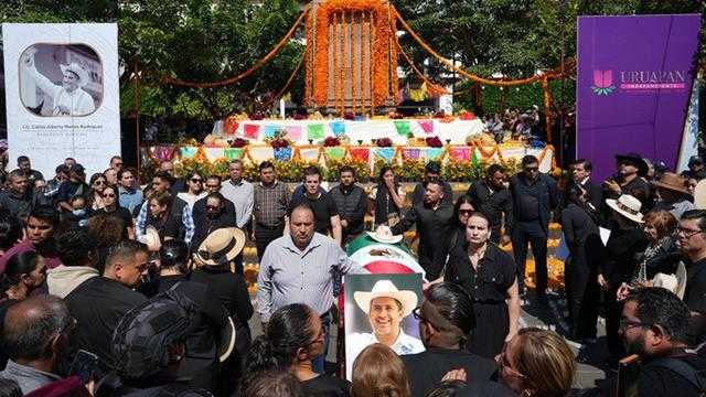 Search image article