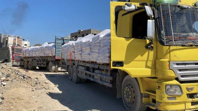 Search image article