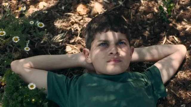 Israel bekukan pendanaan penghargaan film Ophir karena dianggap pro-Palestina