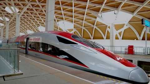 Search image article