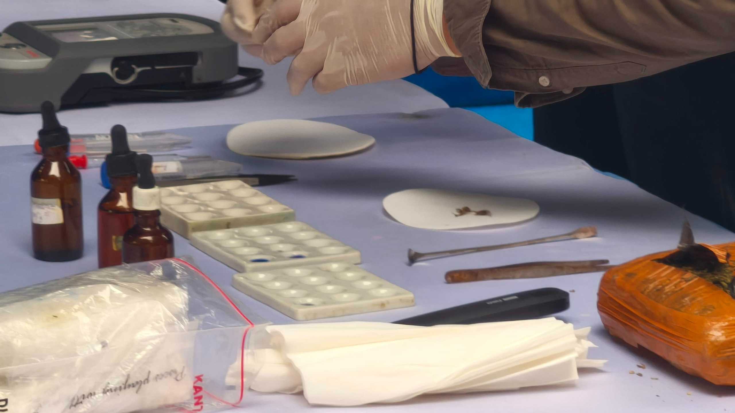 Search image article