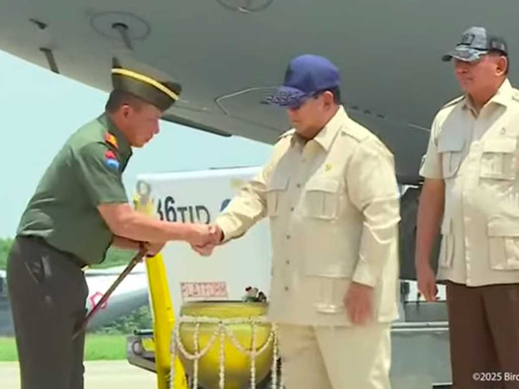 Search image article