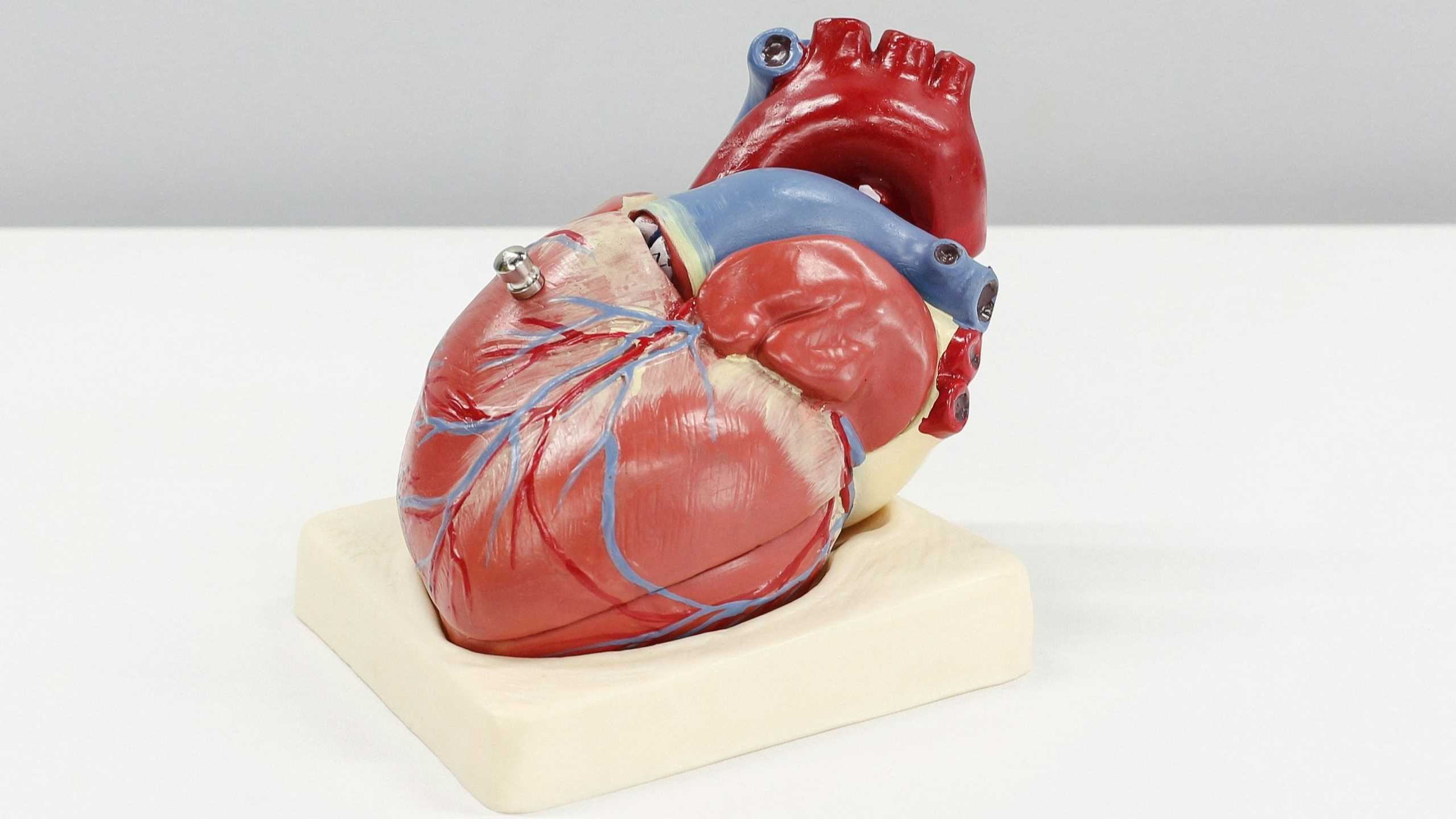 Search image article