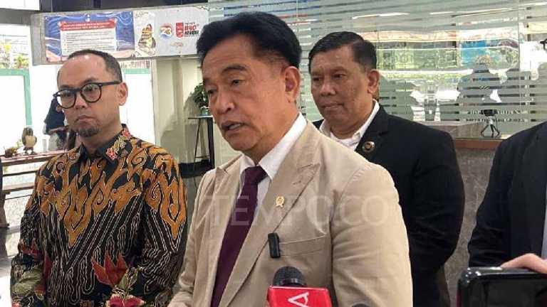 Search image article