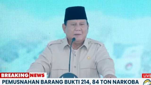 Search image article