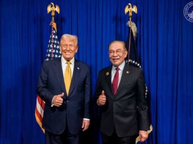 Search image article