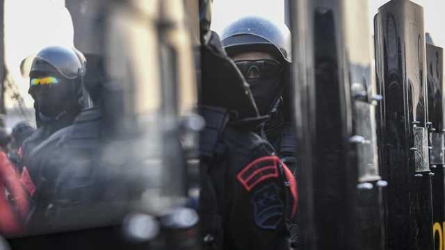 Search image article