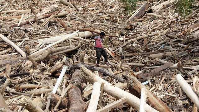 Search image article