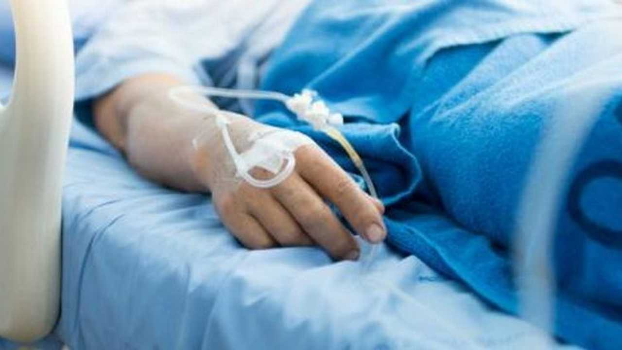 Search image article