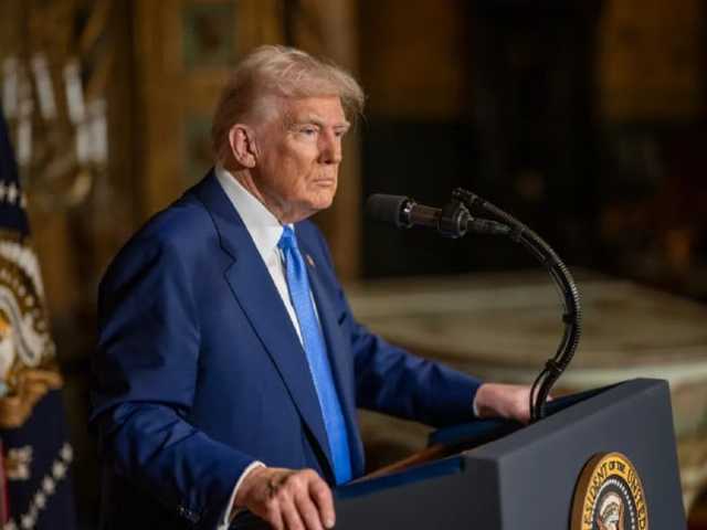 Search image article