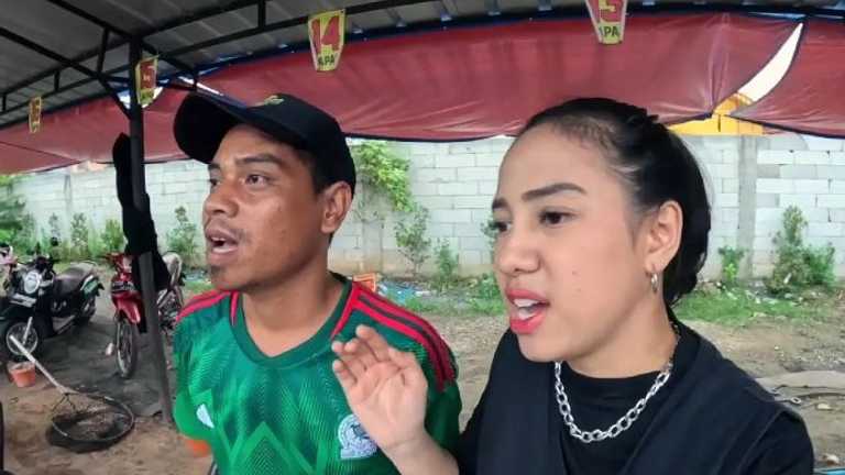 Search image article