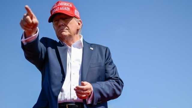 Search image article