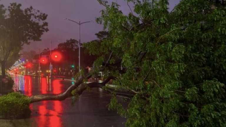 Search image article