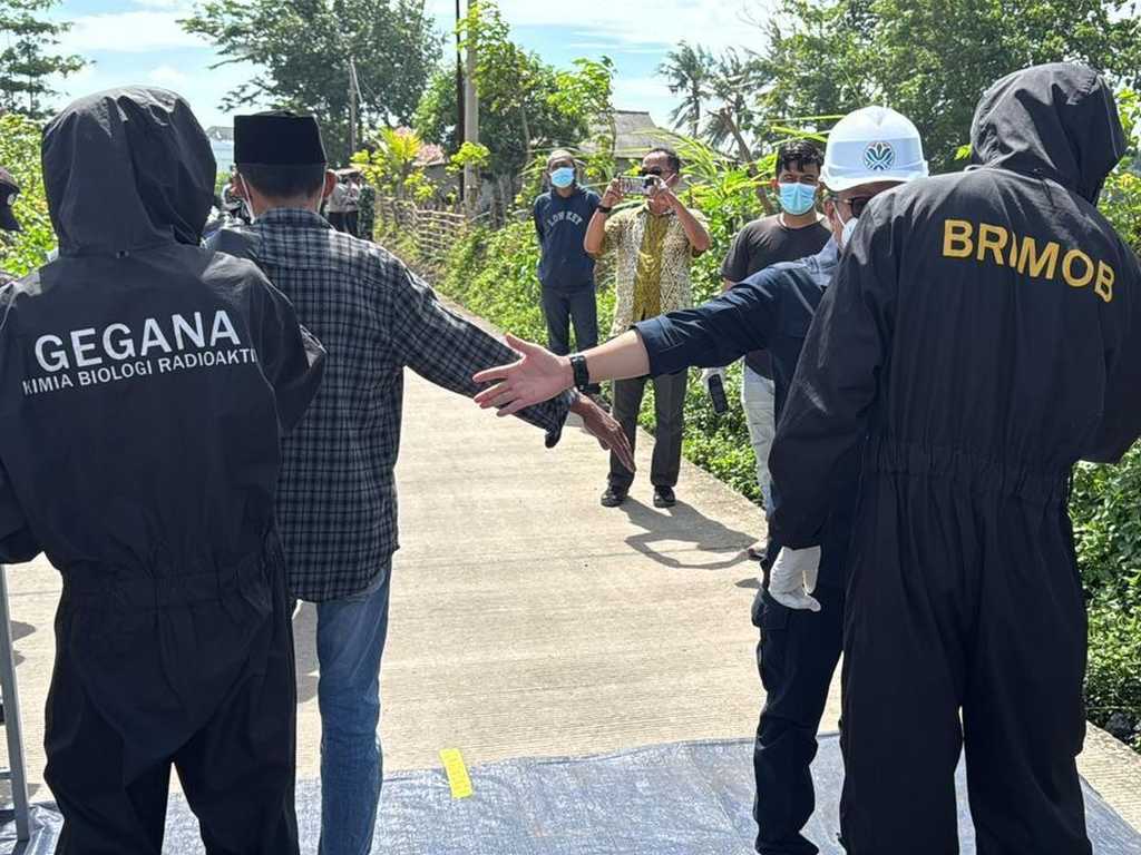 Search image article