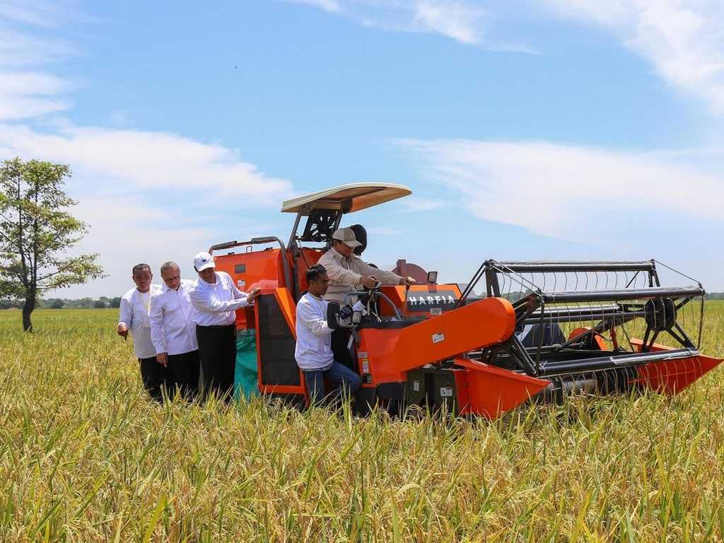 Search image article