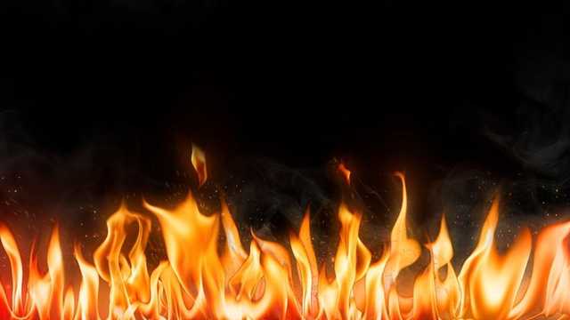 Search image article