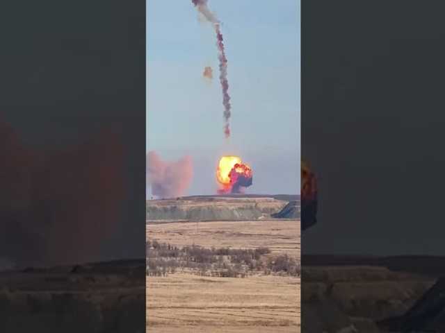 Search image article