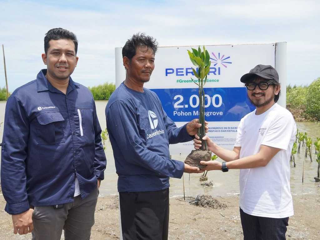 Search image article