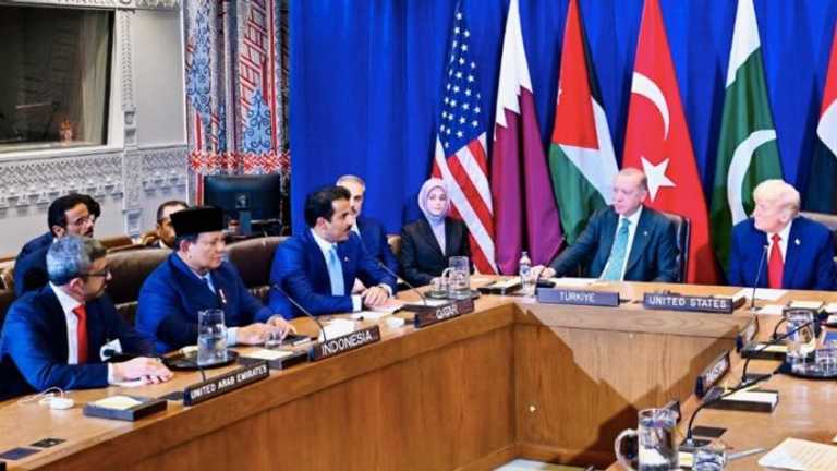 Search image article