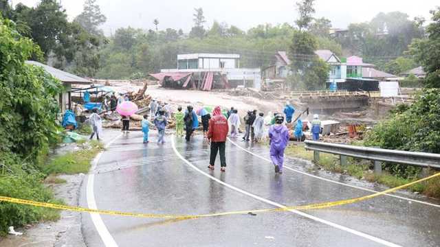 Search image article