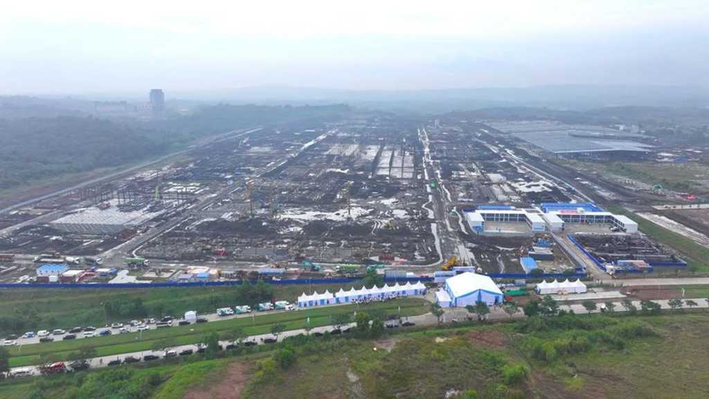 Search image article