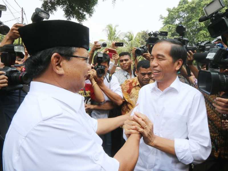 Search image article