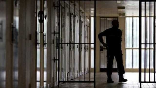 Search image article