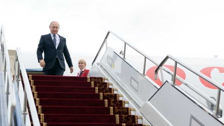 Search image article