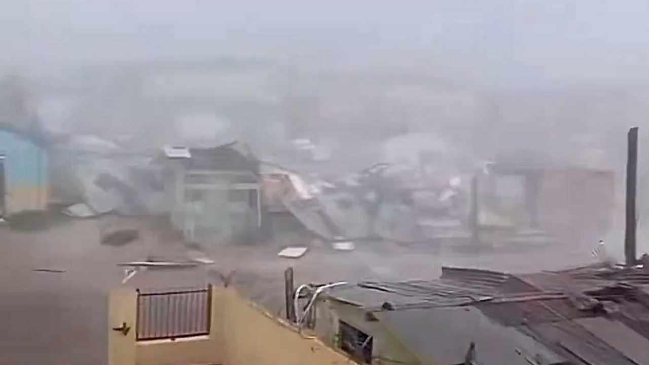 Search image article