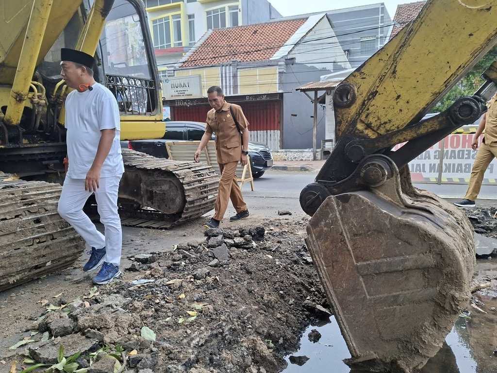 Search image article