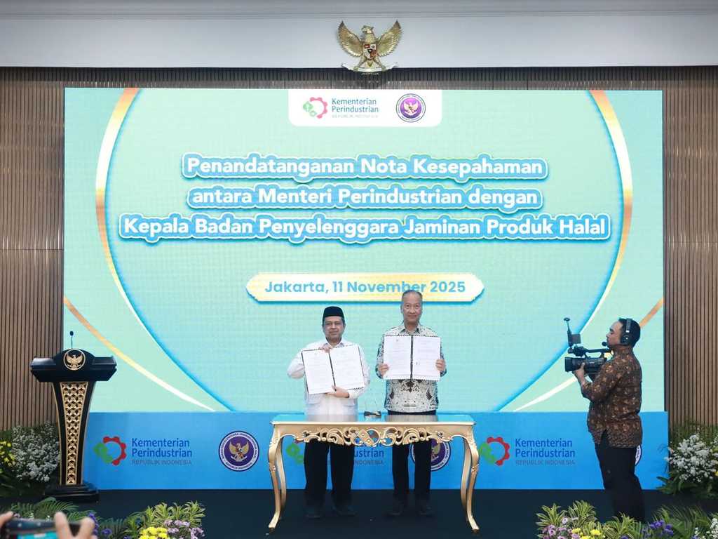 Search image article