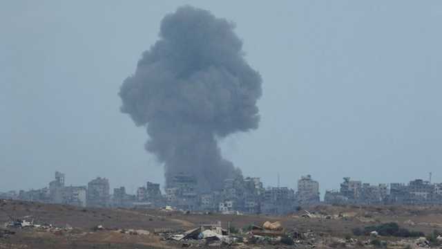 Search image article