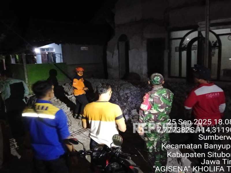 Search image article