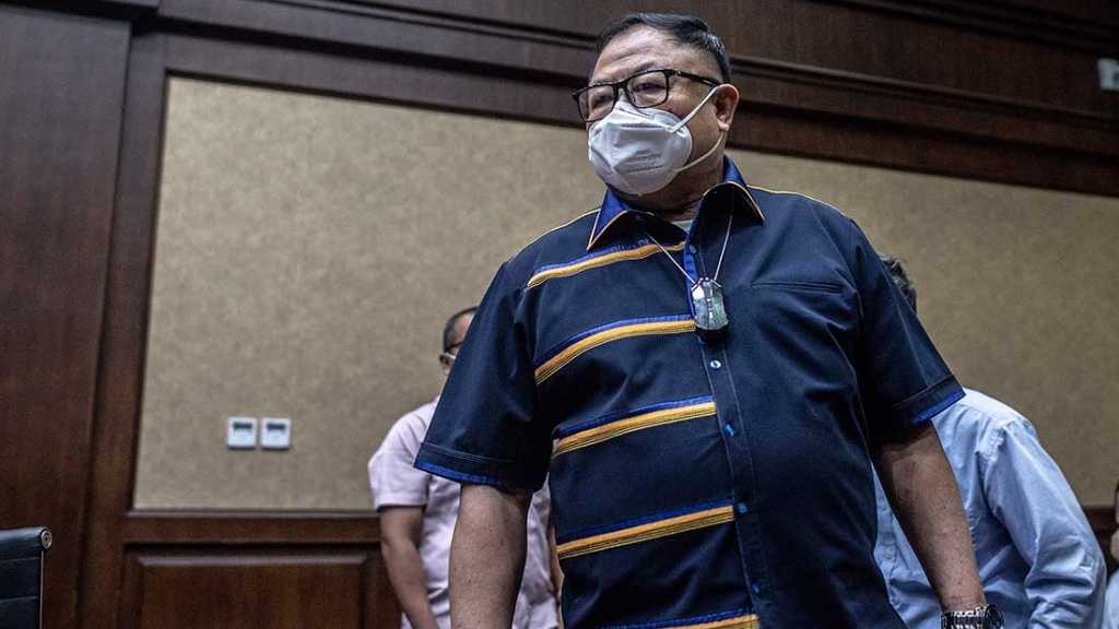 Search image article