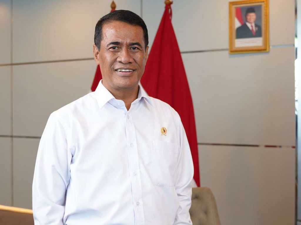 Search image article