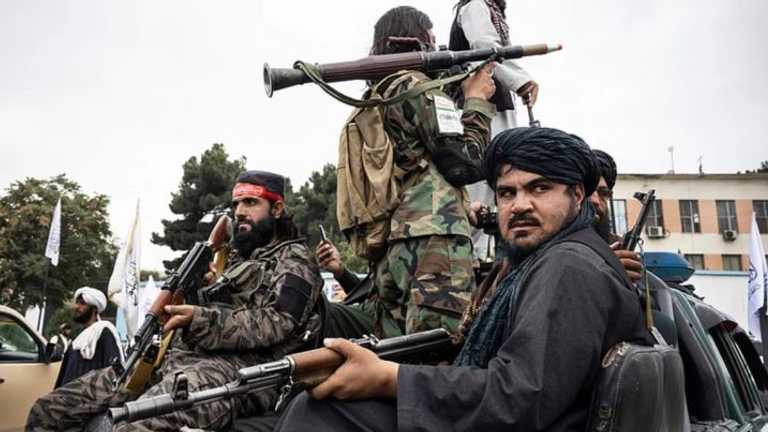 Search image article