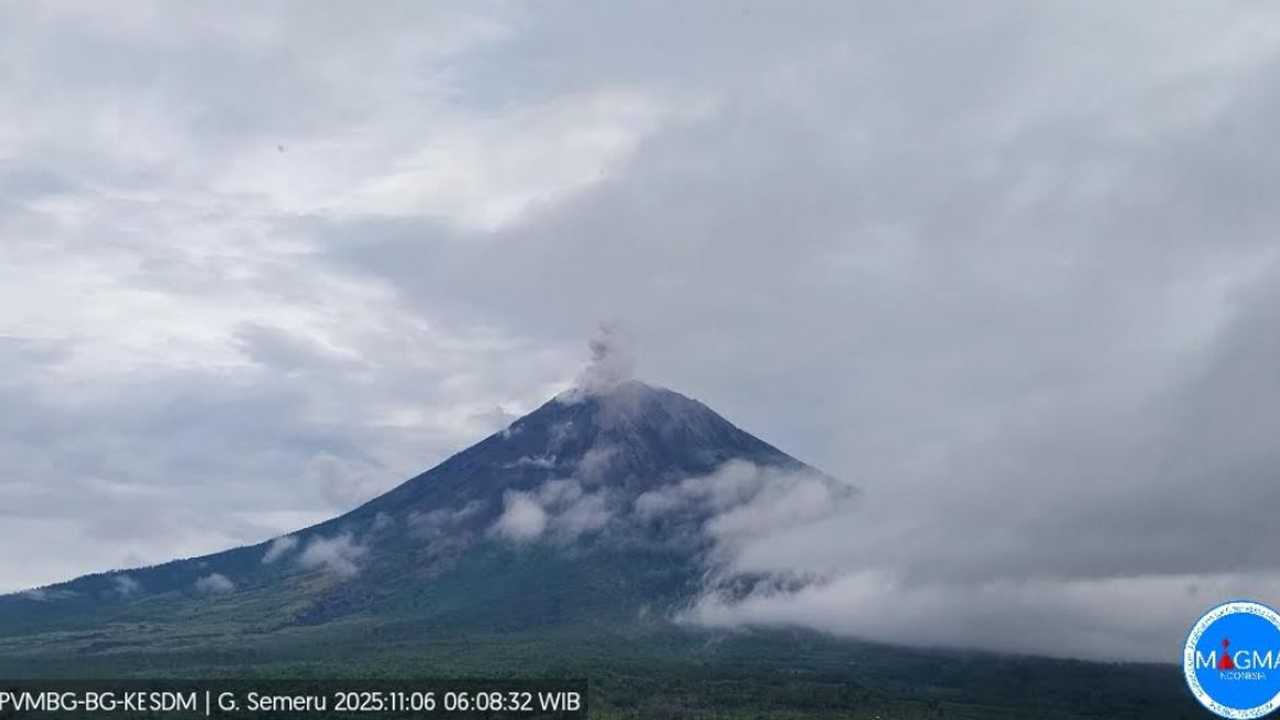 Search image article