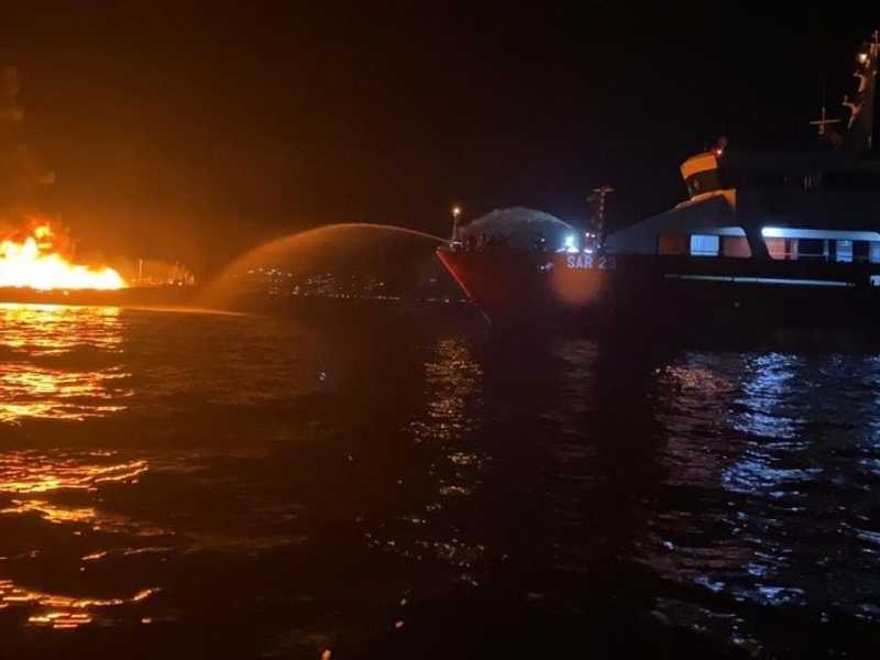 Search image article