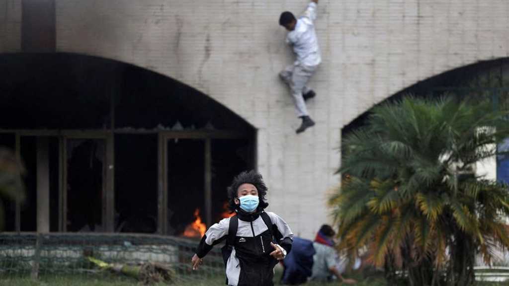 Search image article