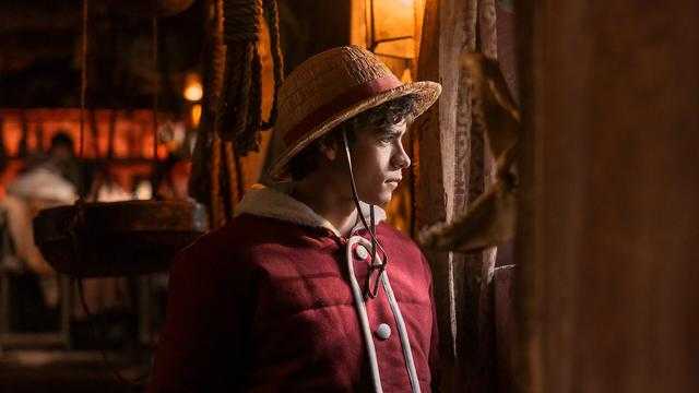 Search image article