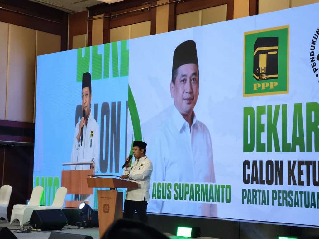 Search image article